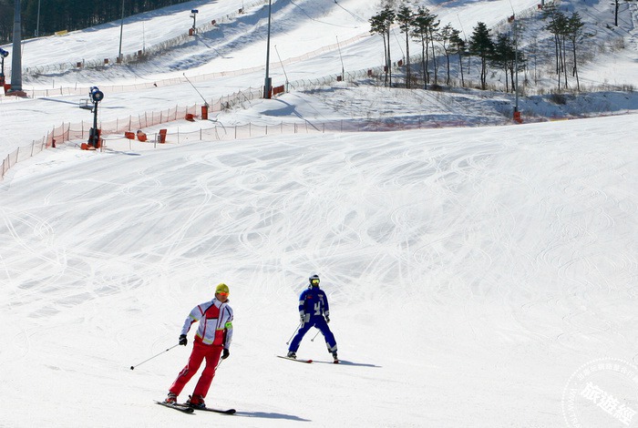 2024到<u>韓國旅遊</u>必看！冬季青年奧運會在韓國 即日起入境要填寫健康狀態調查表