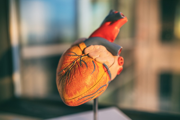 心臟衰竭並不意味著心臟已經停止運作，它只表示心臟的收縮或舒張功能變差而引發相關症狀，可能包括呼吸困難、水腫等現象。