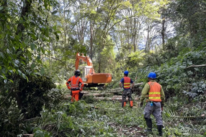 與國際接軌／東勢林管處導入FSC理念！ 森林永續經營