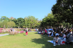 無塑野餐，響應環保！台北杜鵑花季舉辦「100次野餐日」