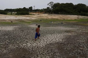 60萬人生活告急…巴西亞馬遜遇百年乾旱
