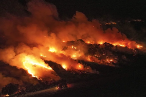 「生物多樣性搖籃」巴西大沼澤 因聖嬰和暖化發生大火