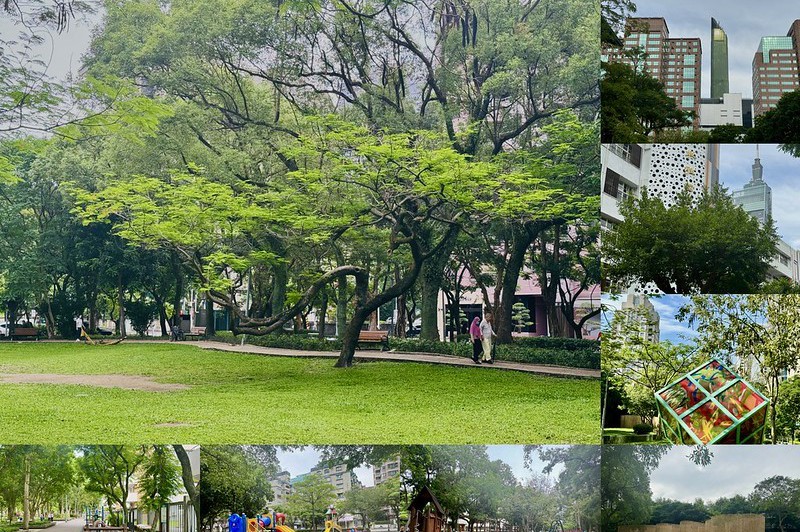 台北 / 信義區特色公園，摩天大樓環繞的自然綠洲【松德、信義安康公園】