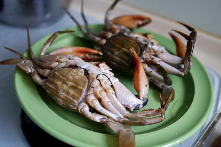 食譜／《清蒸<u>螃蟹料理</u>》在家輕鬆搞定肥美的沙公沙母