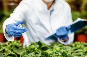 「植物醫生」要改名 農業部推植物診療師法 盼年底通過