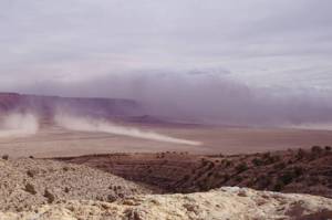 研究：大氣沙塵具降溫作用 遮擋全球暖化嚴重性