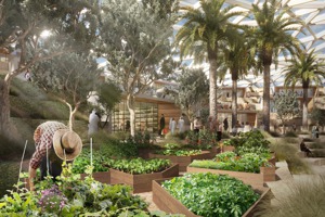 打造綠色沙漠：Agri Hub 讓杜拜成為永續農業旅遊勝地