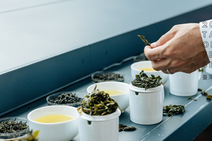 喝杯在地有機茶－茶湯裡的風土學 台灣各茶區特色揭密