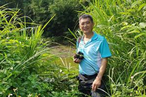 港都社區大學講師楊吉壽，在桃園黃緣螢的棲地觀察。  圖／楊吉壽提供