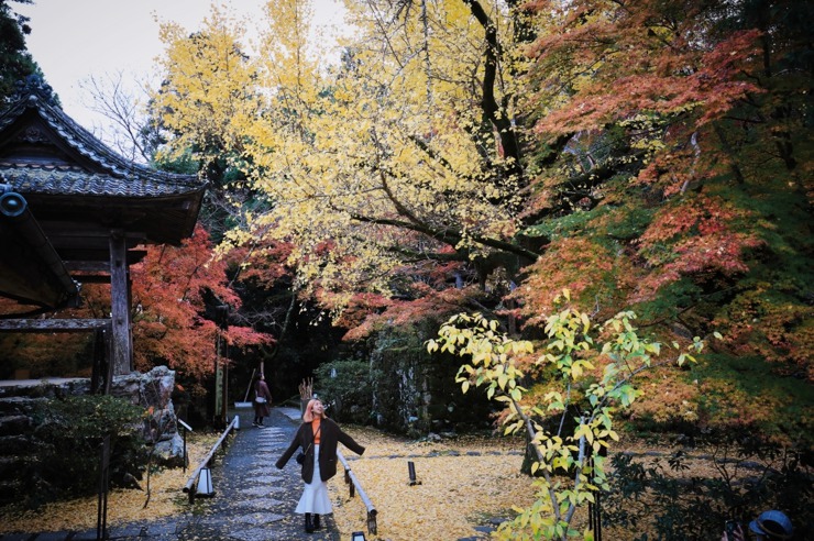 遊日本｜高知竹林寺   滿園紅葉繽紛   四國遍路巡禮
