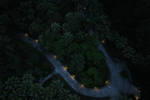 夜間植物園為穿梭行人打光 植光計畫植人都得益