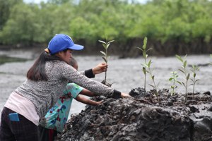 菲國青年用區塊鏈、App 培力在地復育藍碳生態系
