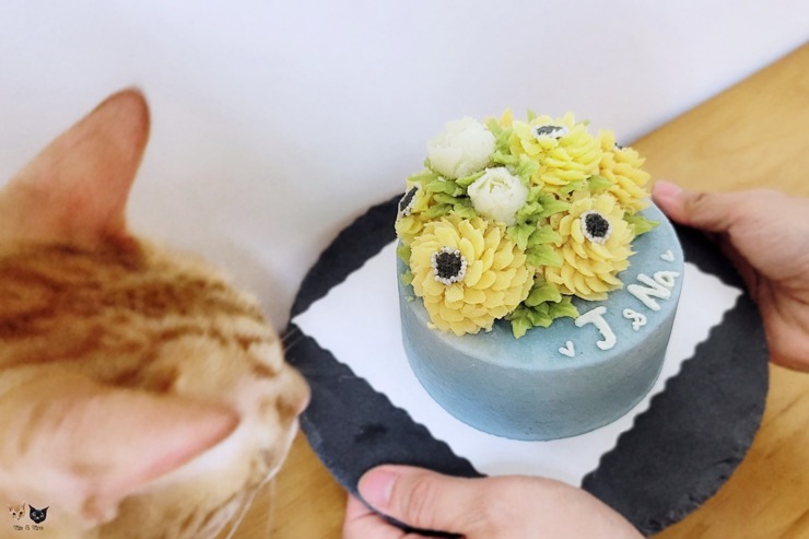 [喵の手作鮮食]狗尾巴草<u>毛孩</u>私廚。韓式裱花姓名寵物鮮食蛋糕。J哥和Na哥4歲生日快樂啦! #客製化蛋糕