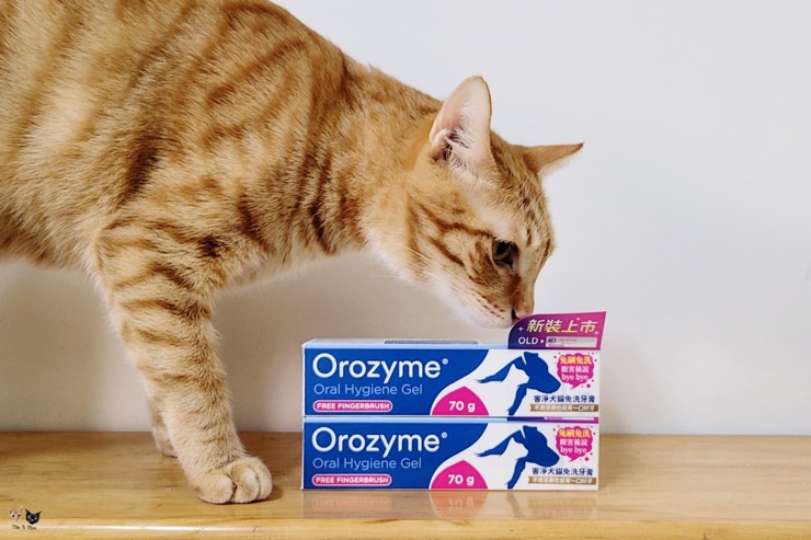 比利時進口的「Orozyme害淨 犬貓牙膏」免刷、免洗便能有效清潔貓狗的牙口  有好的牙齒、健康的腸胃，才能開心生活和吃美食呀~