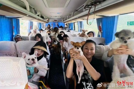 大陸寵物服務品牌「愛寵游」近日所推出的寵物旅行團（上海至曼谷等地跨國旅遊8日行）顯示，若以經濟艙價格計，一家（兩人一寵物）費用達到近人民幣五萬元，是人類報純團遊價格的兩倍之多。 圖／取自微博