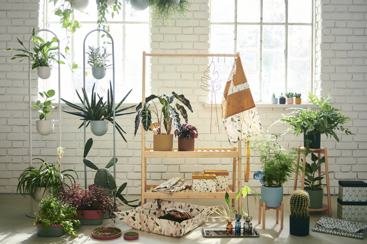 「<u>IKEA</u> DAKSJUS 園藝系列」隆重登場！ 精選10款植感美學好物，你也能輕鬆打造優雅園藝生活🌿