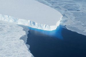 警告：南極末日冰川5年後恐塌，促海平面上升3米