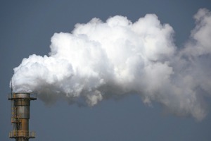 碳焦慮成破口！ 企業留心「碳權詐騙」