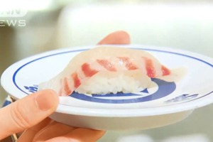 藏壽司本月中旬在日本推出限定5天的「AI櫻鯛」，養殖過程透過智慧投餵機，用AI分析魚的食欲，精準投放飼料，節省支出。圖／翻攝自YouTube／ANNnewsCH