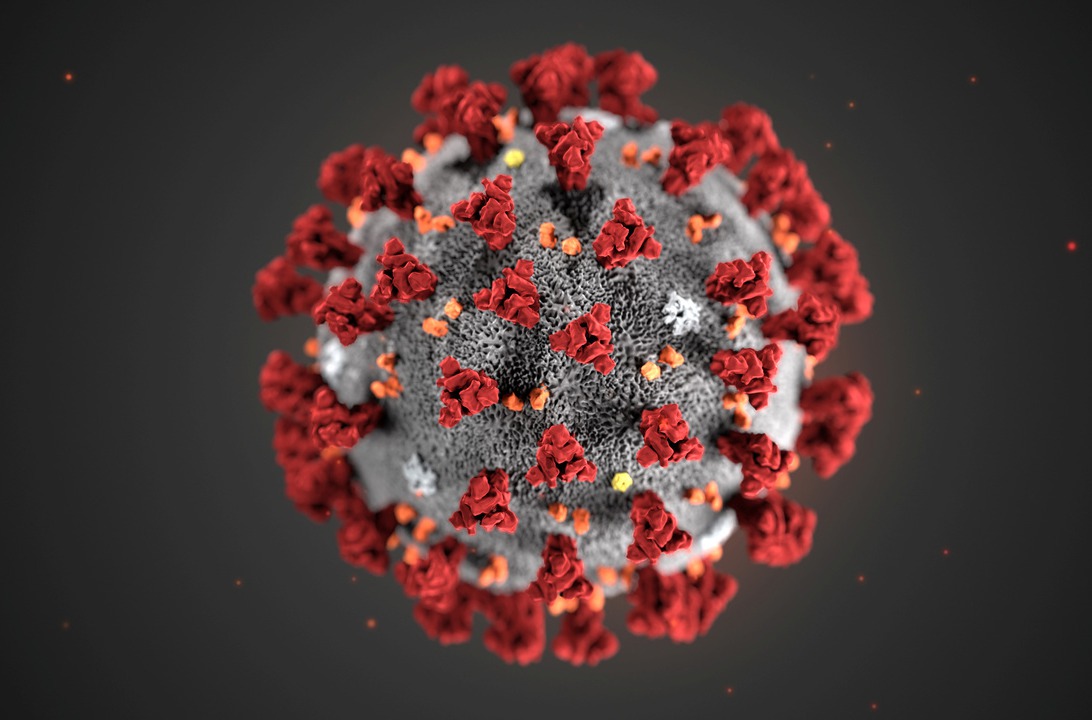 2019年新型冠狀病毒是SARS病毒近親。圖為新型冠狀病毒示意圖。