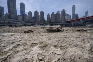 中國大陸長江流域出現罕見的長期大面積乾旱。圖為嘉陵江水量大減，8月19日可見河底。美聯社