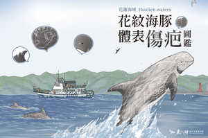 【倡議圈活動】全臺第一本「鯨豚傷疤圖鑑」！分析鯨豚體表傷疤瞭解海洋環境中的威脅原因