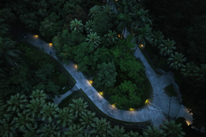 他們創造台灣最溫柔的光－從植物園到蘭嶼如何降低人造光害
