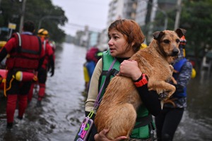 巴西1萬多隻動物洪水中獲救 照片po上網找飼主