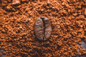 咖啡渣做蚊香－回鄉接家業賣咖啡豆，然後邁入循環