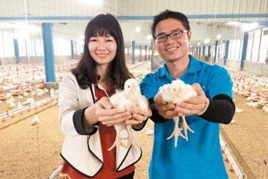 經營人道養雞場 青農和妹妹成為創業好夥伴