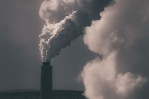碳費開徵！碳定價、碳權、碳關稅…必懂5大「碳」關鍵字