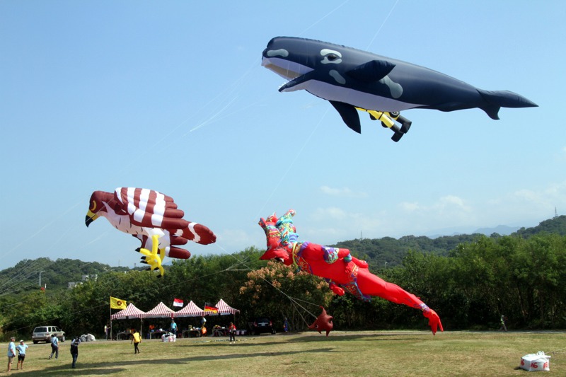 亞洲國際風箏聯合會秘書長鄭可方說，2至3公尺以上的軟體造型風箏被歸類為大型風箏，必須在更廣闊場地施放，圖為苗栗風箏文化及客家美食節。圖／聯合報系資料照片