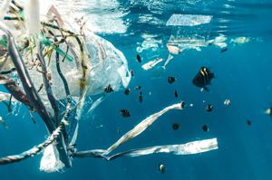 《海污法》三讀通過 污染海洋最高可罰1億元