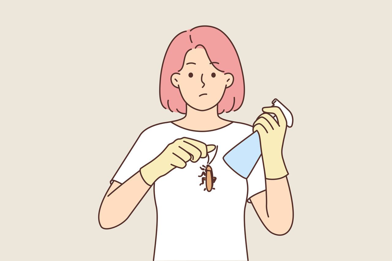 蟑螂會傳播疾病嗎？是否會引起食物中毒？