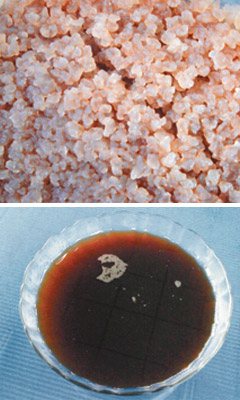 「太陽之菌菇」（上圖）看來像米粒，有人泡黑糖水（下圖）飲用，號稱可減肥，但專家認為易感染雜菌，不建議食用。（記者蔡佳妤／攝影）