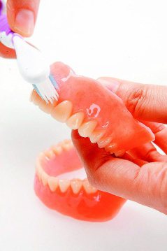 每餐後，需刷洗假牙保持清潔。（攝影／陳立凱）
