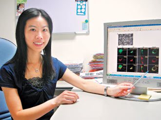 李宜靜花四年時間，終於解開維他命C進入人體之謎。電腦顯示的就是她透過染色找出「第十型葡萄糖轉運子」(GLUT 10)在不同細胞區域的模樣。 記者林進修/攝影