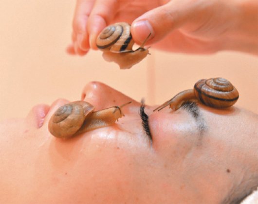 日本東京美容業者推出美容新招，把蝸牛擺在女性的臉上爬行。
 （法新社）

