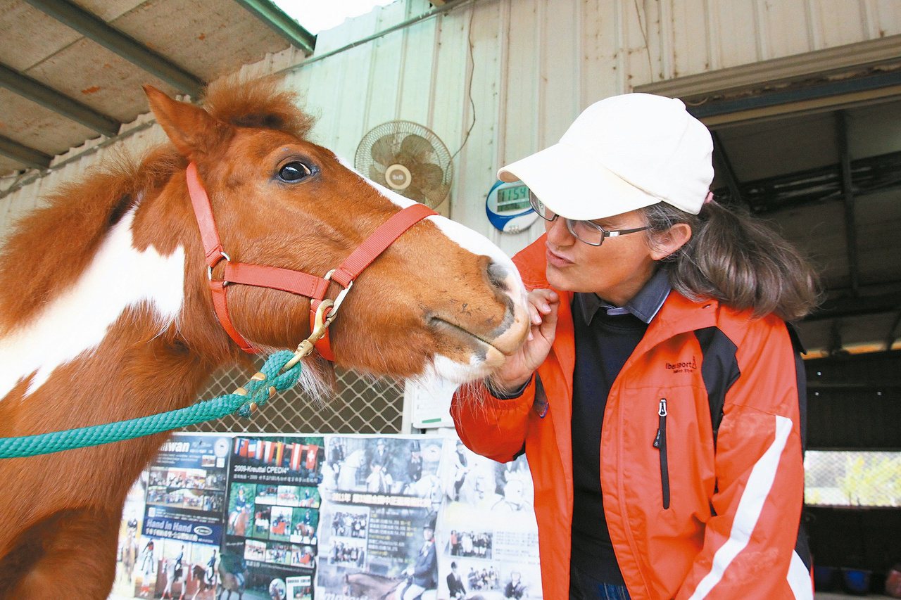 台灣馬術治療中心的馬匹，都是特別挑選，無論小馬、大馬，對於身心障礙的孩子，都有不同的治療效果。