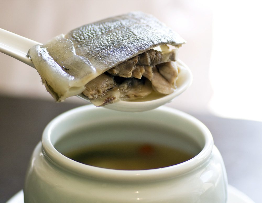酸甜苦辣鹹、五味人生裡，陳飛龍最懷念的，就是素有「美食五味肉」之稱的甲魚。