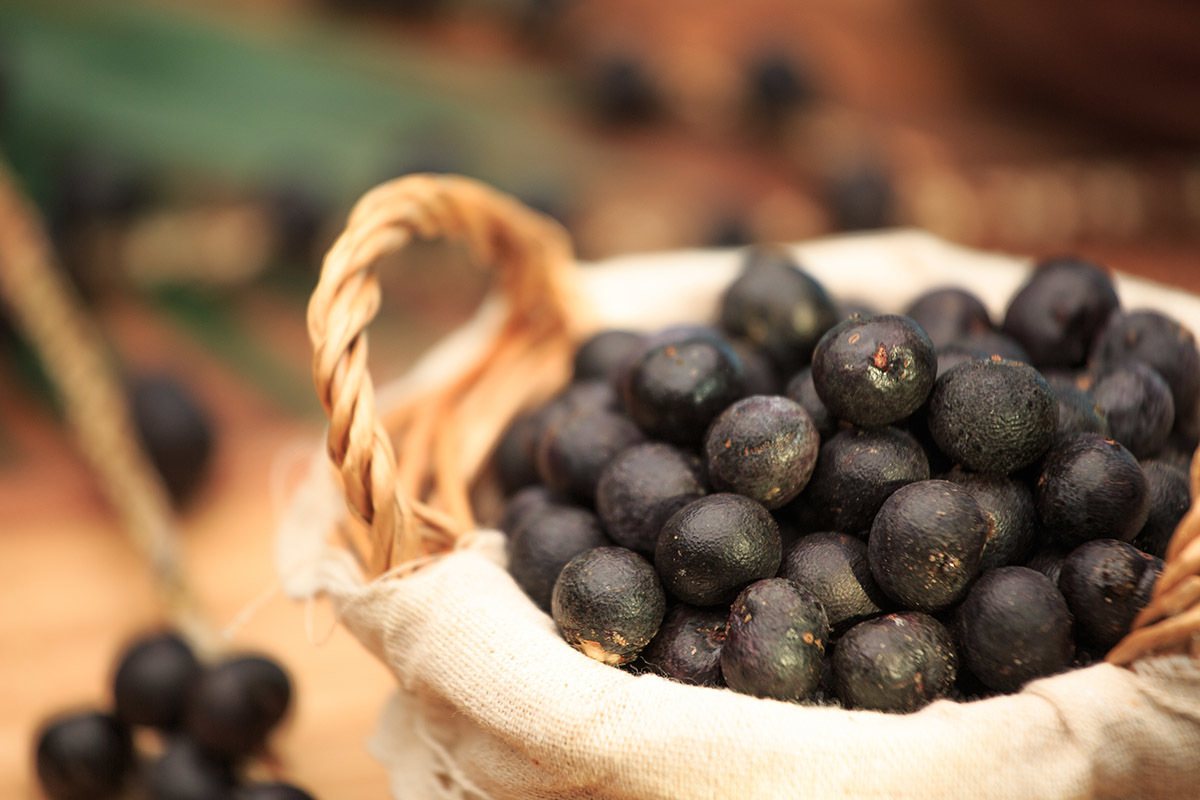 巴西莓中的多酚類營養素，或可幫助慢性發炎高風險群減少發炎風險。