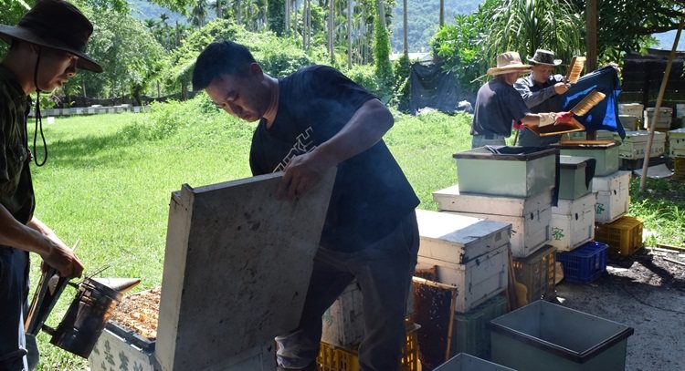 賴朝賢在自家的蜜蜂農場，用謙卑的心有善土地，創造自然與人類和
諧。