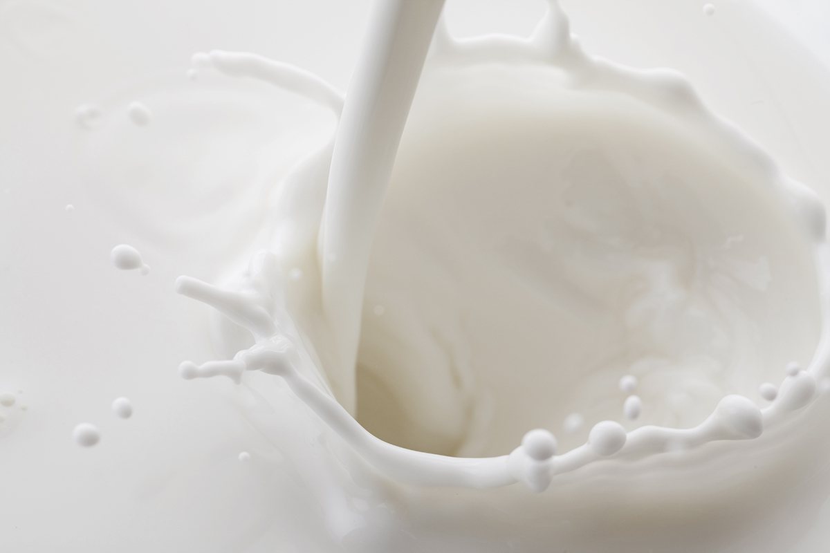過去市售羊乳製品皆為山羊乳，而現在國內已有綿羊乳的新選擇