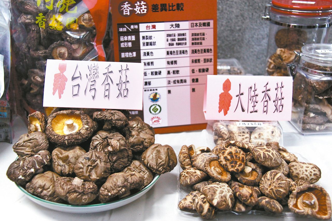 台灣香菇（左）和大陸香菇（右）最大的差別，是大陸香菇菇傘有明顯的裂紋，台灣香菇無。