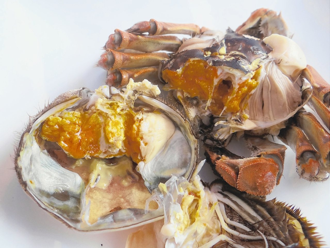 秋蟹正肥美，醫師提醒，螃蟹屬涼性，不宜搭配涼性食物食用，否則恐會腹瀉。