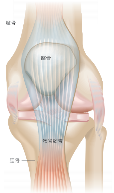 「跳躍者膝」最常發生在須用力使用膝蓋伸展或跳躍項目的運動員身上，又被稱為「跳躍者的膝痛」。