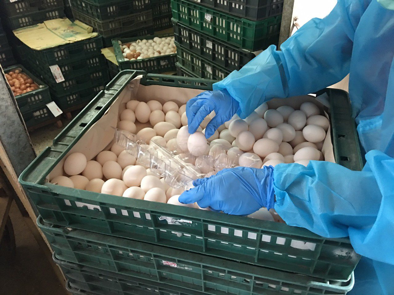 彰化縣衛生局、動物防疫所昨天到養雞場採樣，送驗結果發現三場養雞場殘留芬普尼過高，三場雞蛋都已封存。圖／彰化縣府提供
