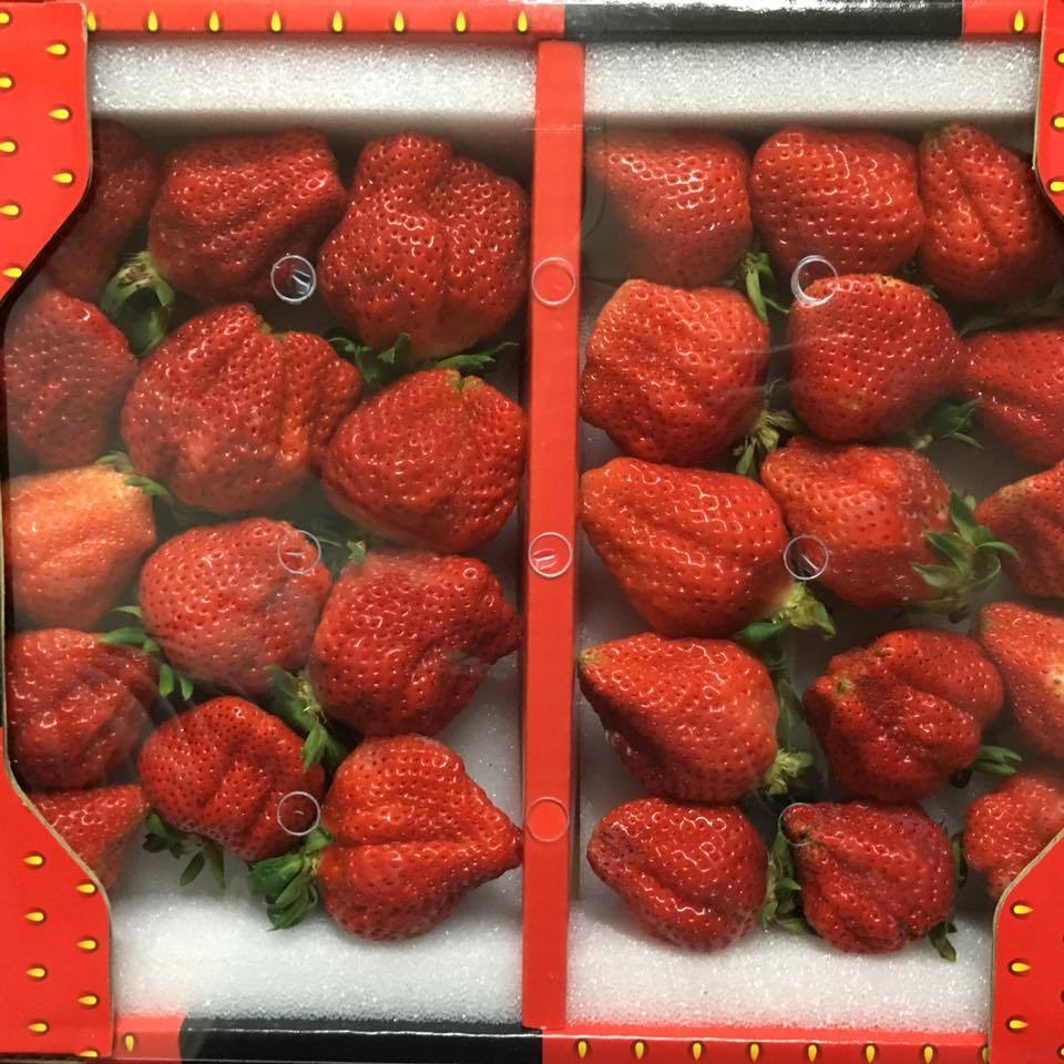 網友買了大湖草莓，發現裡頭竟然有蟲。圖／轉載自臉書社團Costco好市多 商品經驗老實說