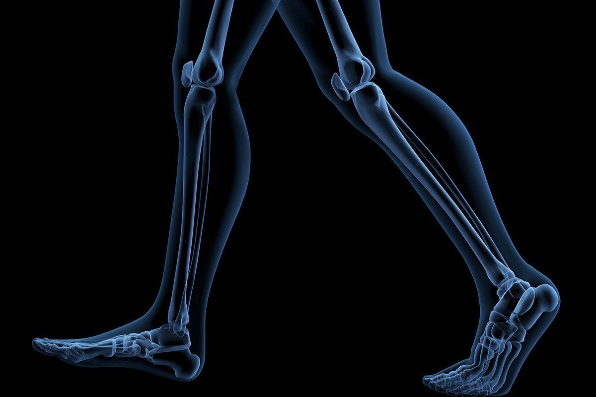 路不只是關係到腳部的動作而已，也會牽動全身的肌肉、骨骼與神經系統。