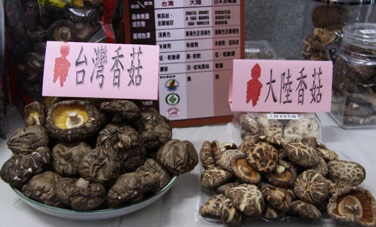 台灣香菇的表面通常較為平滑。報系資料照。